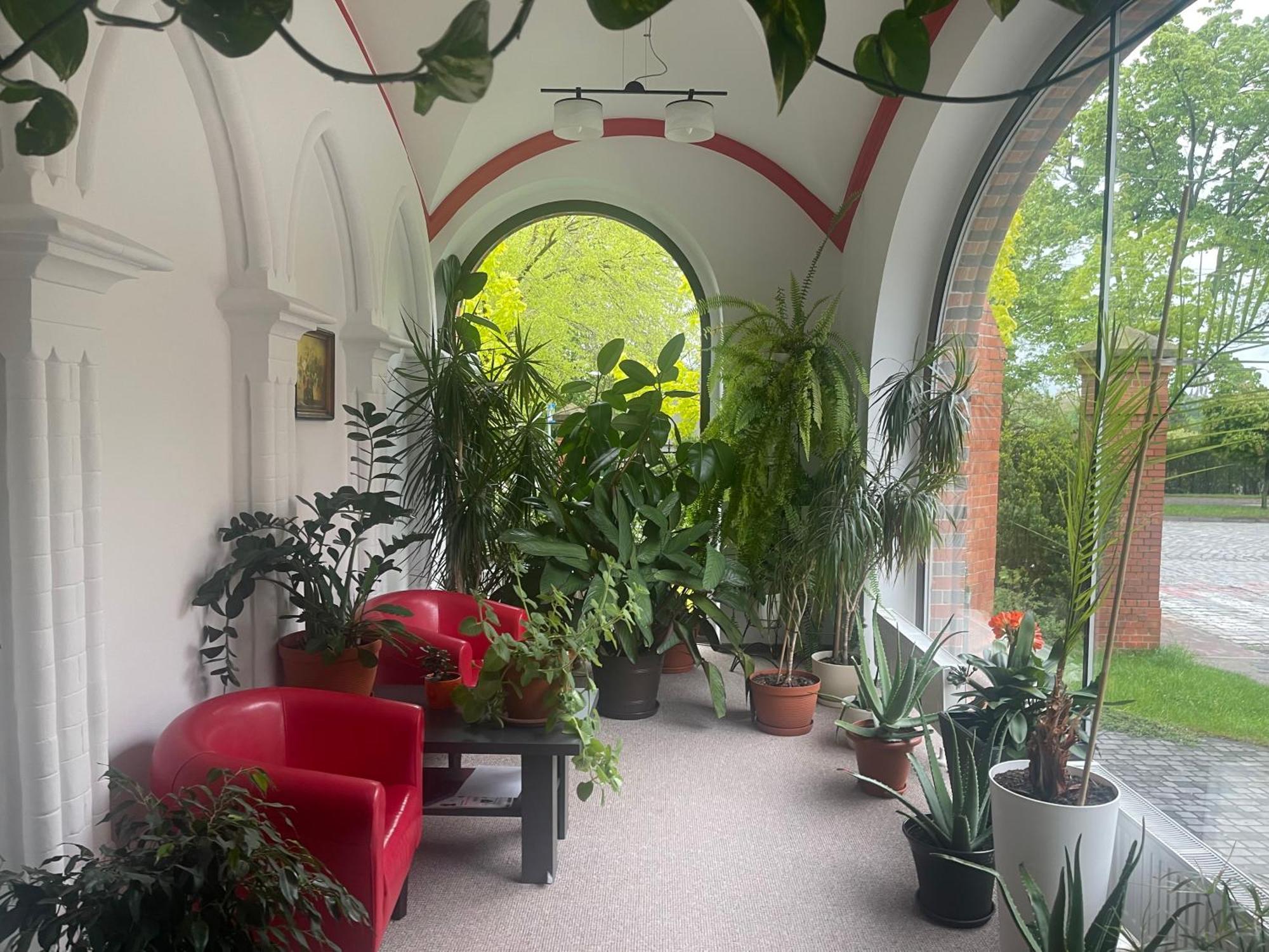 Auberge de jeunesse Szkolne Schronisko Mlodziezowe Dabrowka à Prudnik Extérieur photo